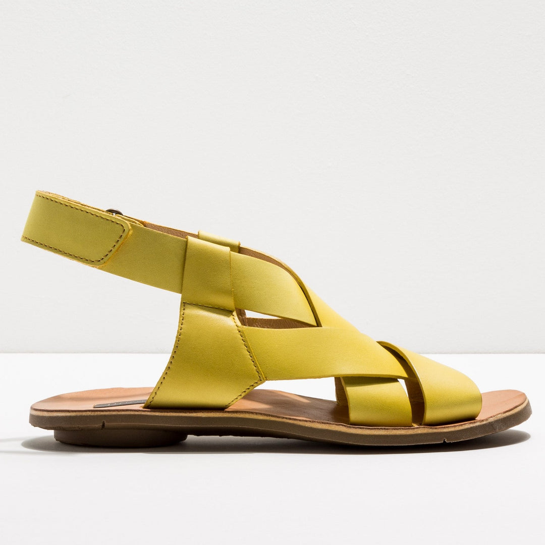 NEOSENS Daphni Cross Strap